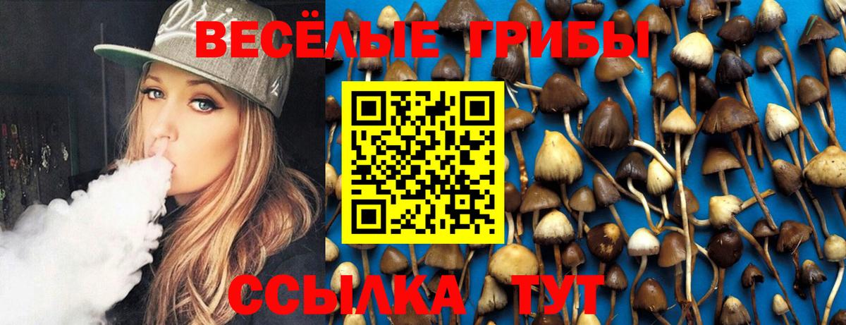 Галлюциногенные грибы Psilocybe  Вход с VPN  Галлюциногенные грибы ЛСД  Северск 